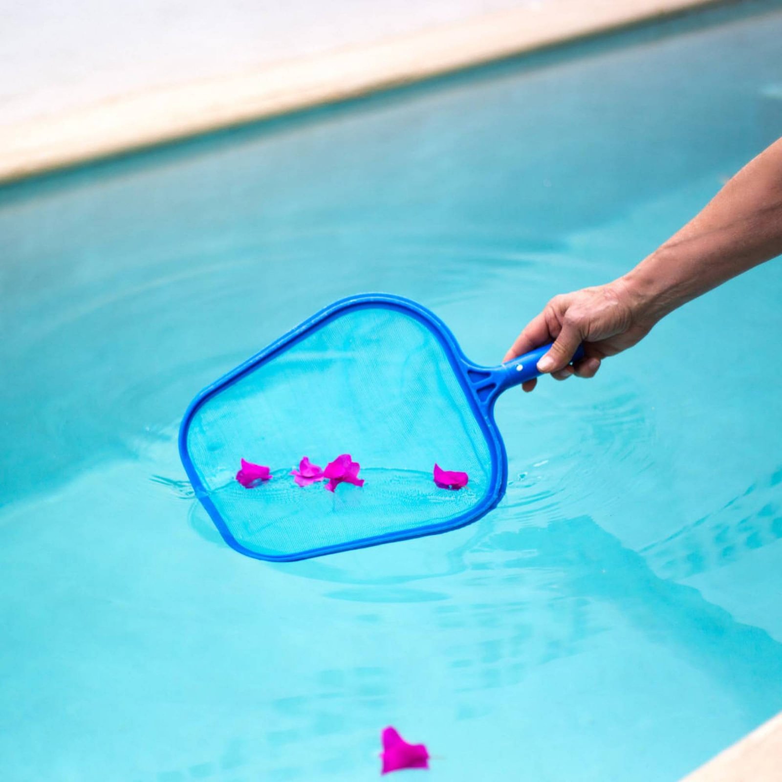 شبكة قابلة للفصل لتنظيف حمام ا - مراجعة Pool Skimmer Net وسعره