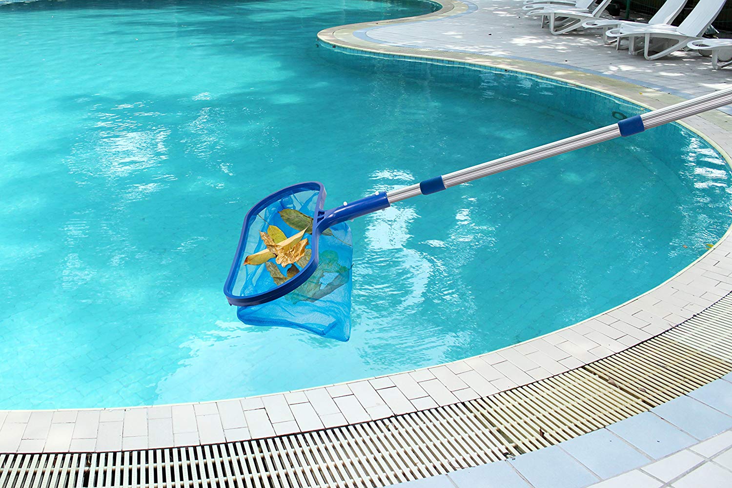 شبكة تنظيف أوراق حمام السباحة  - مراجعة Pool Skimmer Net وسعره